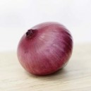 Red Storage Onion