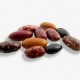 Transkei Mixed - Bush Beans