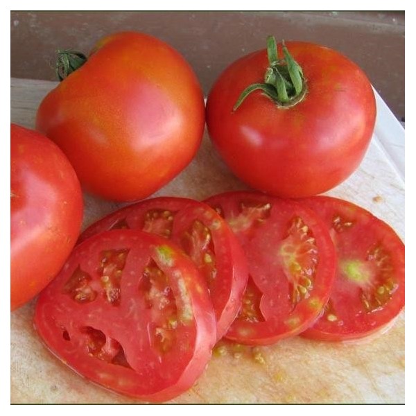 Arkansas Traveler Tomato Organic Seeds