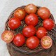Riesentraube Tomato