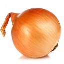 Texas Grano Onion