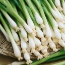 White Lisbon Bunching (Spring) Onion
