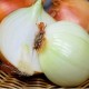 Hojem Onion