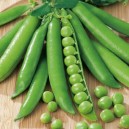 Greenfeast Garden Peas