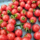 Wild Cherry Tomato