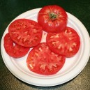Red Brandywine Tomato